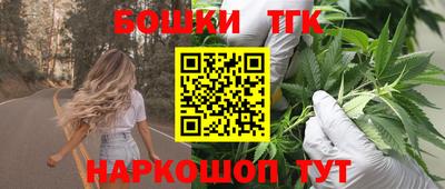 винт Сланцы