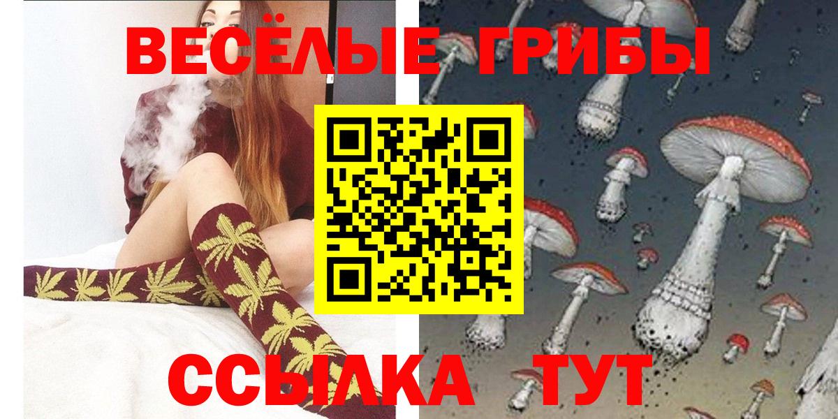 Галлюциногенные грибы Psilocybe Ноябрьск