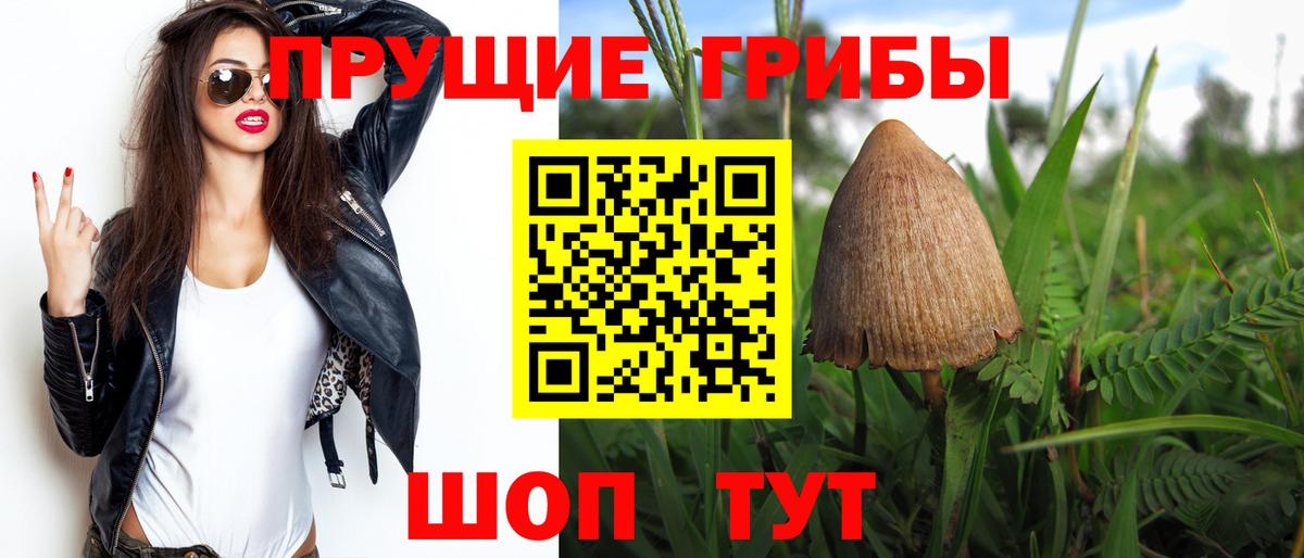 Псилоцибиновые грибы прущие грибы  Вход с VPN  Ноябрьск 